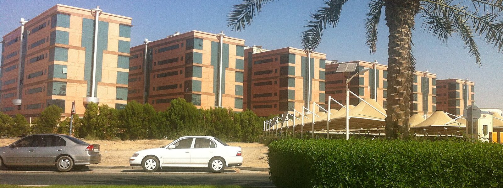 Des immeubles de couleur saumon alignés derrière des palmiers et des parkings ombragés, à Dubai Academic City