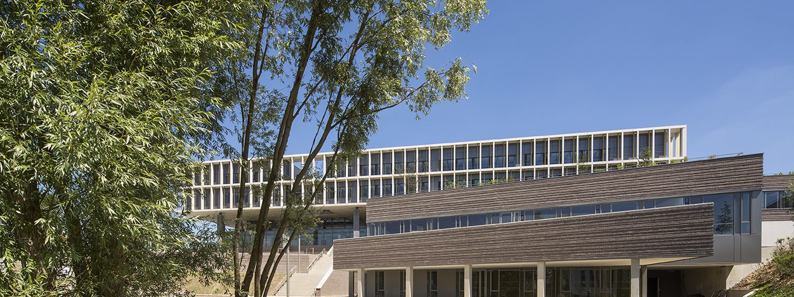 Le lycée international de l'Est parisien, à Noisy-le-Grand