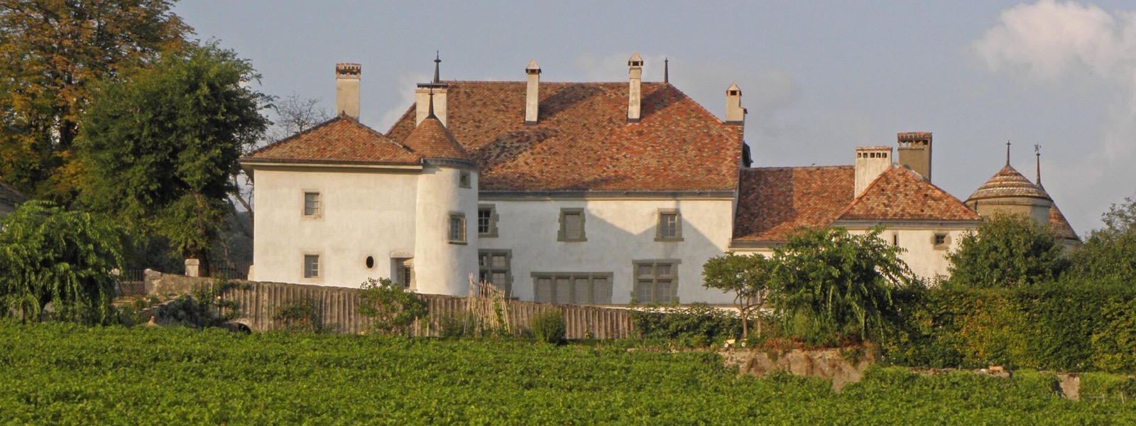 Le château du Rosey et ses vignes, au-dessus du lac Léman